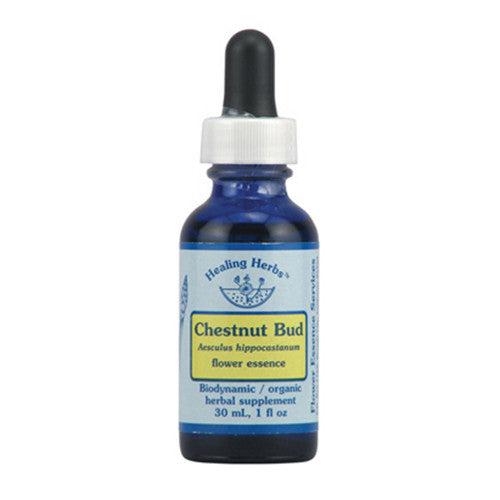 Chestnut Bud Herbal Supplement Dropper By Flower Essence - 1 Oz